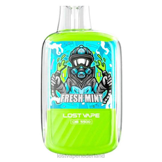 Lost Vape Orion ob5500 5500 pufjes 14 ml 50 mg wegwerpbaar Frisse munt - Lost Vape flavors TYU4R101
